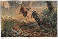 Ingrid Weiersbye - Bushbuck Flight